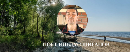 Поет Ильдус Шигапов