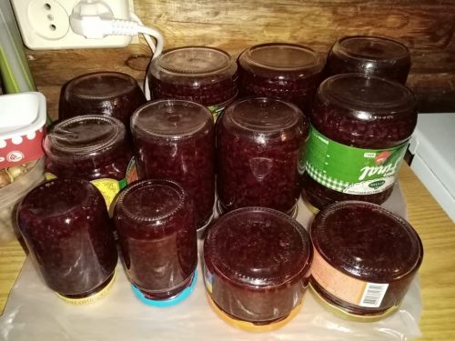 Жители Лаишевского района закрывают ягоды на зиму