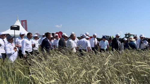 «Всероссийский день поля» пройдет в Лаишевском районе с 6 по 9 июля