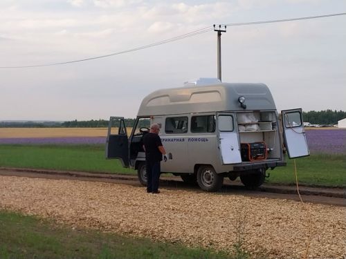 Лаишевский район будет активным  участником Всероссийского дня поля