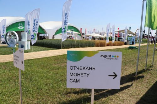 В Лаишевском районе идет Всероссийский День поля