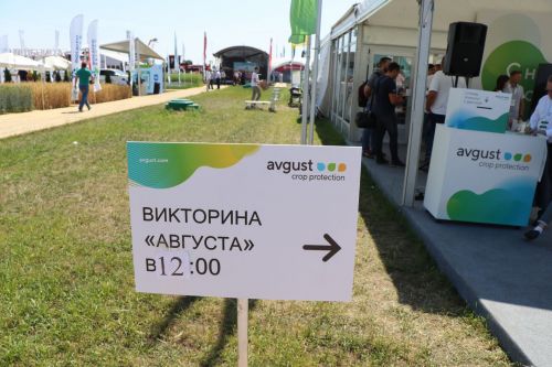 В Лаишевском районе идет Всероссийский День поля