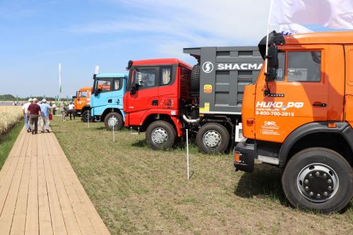 В Лаишевском районе идет Всероссийский День поля