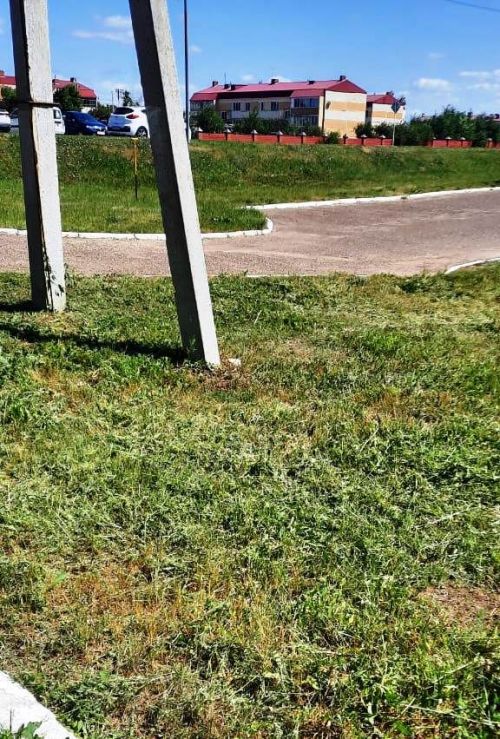 В Лаишеве проходит субботник