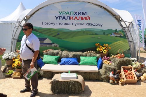 В Лаишевском районе идет Всероссийский День поля