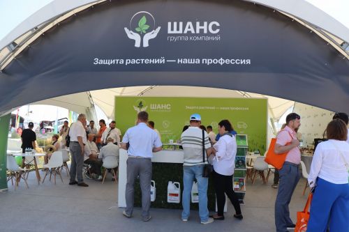 В Лаишевском районе идет Всероссийский День поля