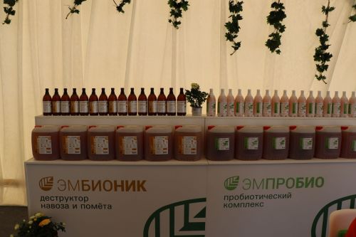 В Лаишевском районе идет Всероссийский День поля