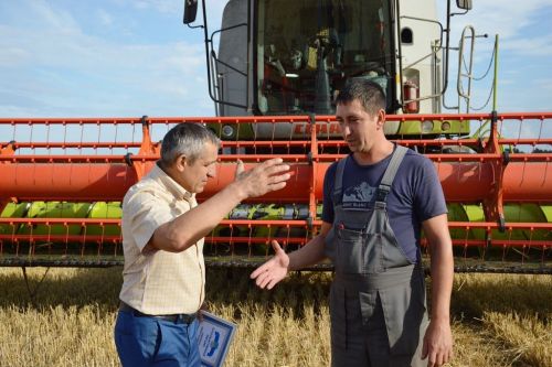 Комбайнеров-передовиков хозяйств Лаишевского района чествовали прямо в поле