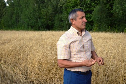 Комбайнеров-передовиков хозяйств Лаишевского района чествовали прямо в поле