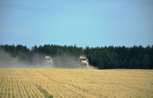 Комбайнеров-передовиков хозяйств Лаишевского района чествовали прямо в поле