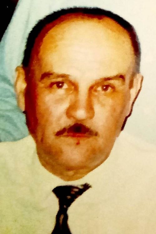 Вадим Гранильщиков: «Родина моей души — Лаишево»