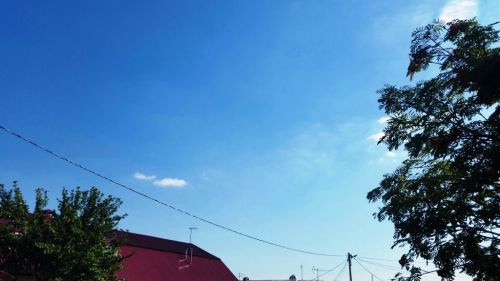 В Лаишевском районе сохраняется высокая пожароопасность лесов