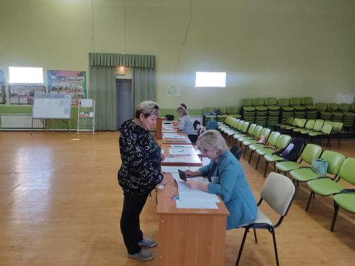 В Лаишевском районе проходят дополнительные выборы депутатов сельских поселений