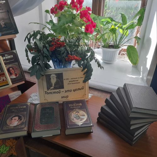 Лаишевцев знакомят с миром произведений Льва Толстого