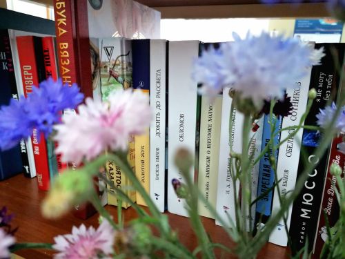 В Лаишевской библиотеке – новое поступление книг