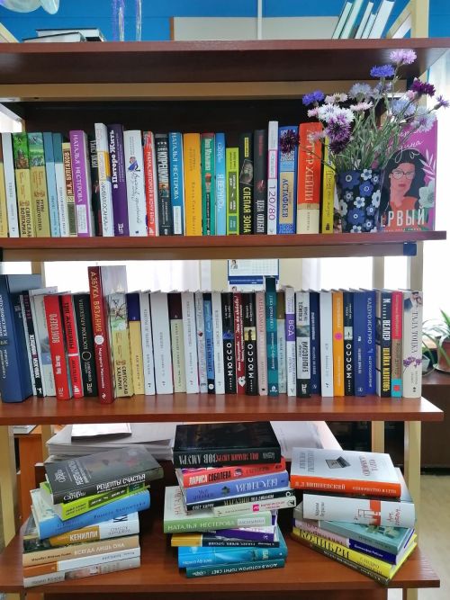 В Лаишевской библиотеке – новое поступление книг