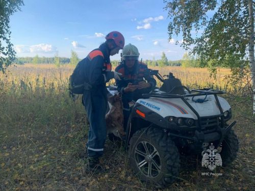 В Лаишевском районе заблудившаяся женщина почти сутки провела в лесу