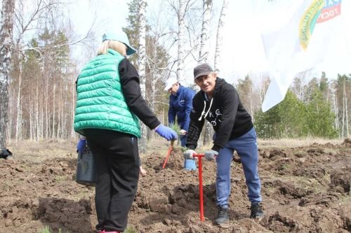 Глава Лаишевского района поздравил работников лесного хозяйства