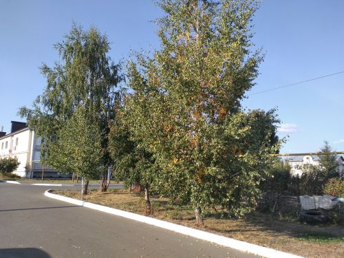 Оперативный прогноз погоды в Лаишевском районе на 18 сентября 2023 год