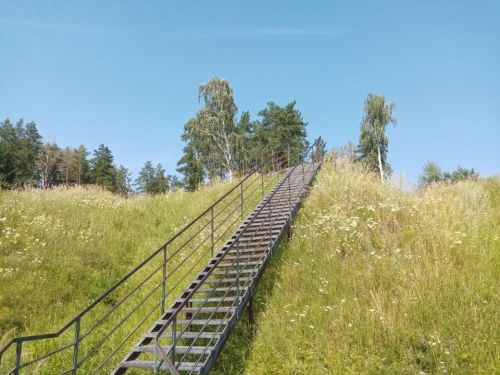 Утро — самое время для планирования новых побед