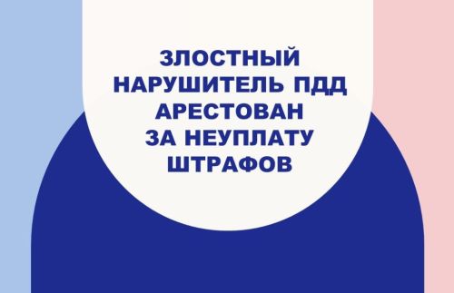 Не уплатил вовремя штрафы за нарушение ПДД — арестован на пять суток