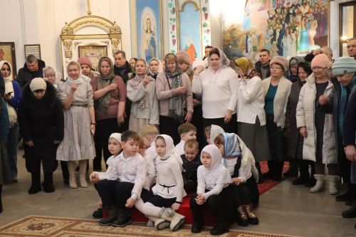 Лаишевский район посетил митрополит Казанский и Татарстанский Кирилл