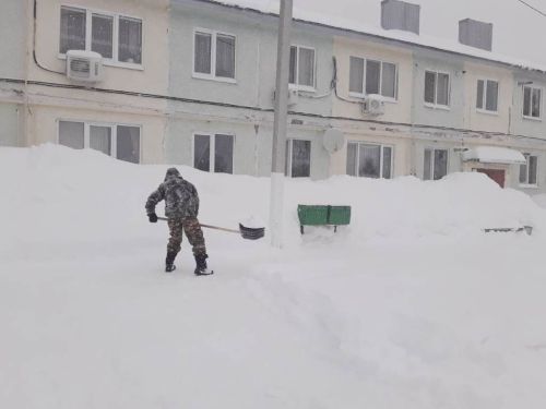 Читатели делятся своими фотографиями, как они борются со снежной стихией