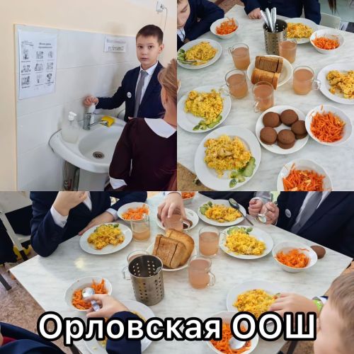 В восьми школах Лаишевского района прошли проверки качества питания детей