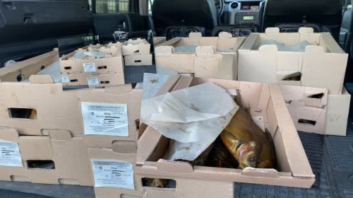 Из Лаишевского района в зону СВО направлена очередная крупная партия гуманитарного груза