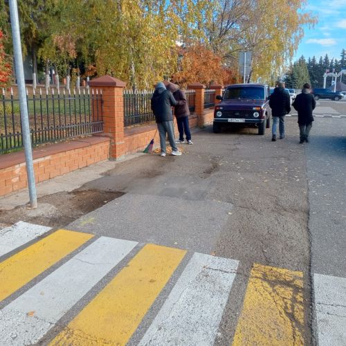 Школьники Лаишева провели осенний субботник