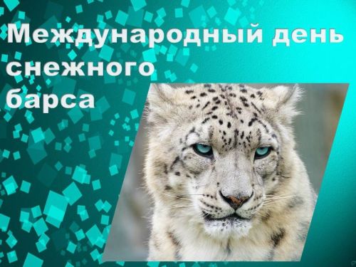 Сегодня — Международный день снежного барса