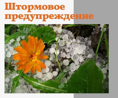 Объявлено штормовое предупреждение