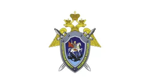 Раскрыто убийство двухлетней давности