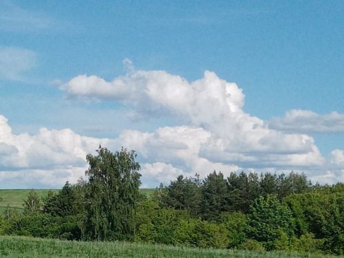 В хмурую осень вспоминается летнее небо