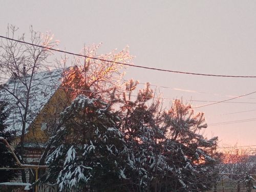 Погода на завтра, 8 ноября