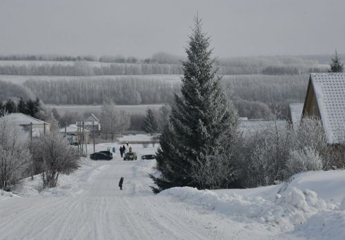 Погода на завтра, 31 декабря: порывистый ветер, метель, гололед