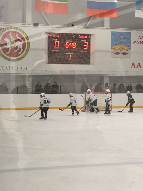 В  Лаишево стартовал хоккейный турнир под названием «Ястреб CUP»!