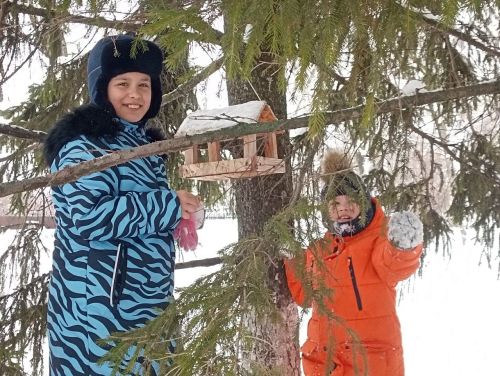Юные экологи Лаишевского района приходят на помощь птицам