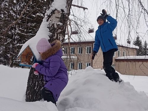 Юные экологи Лаишевского района приходят на помощь птицам