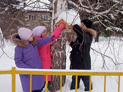 Юные экологи Лаишевского района приходят на помощь птицам