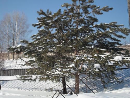 В Лаишевском районе в понедельник снова пойдут метели