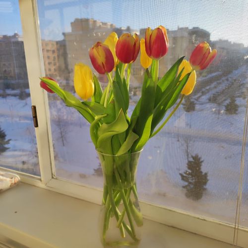Праздник 8 Марта закончился, а весна продолжается