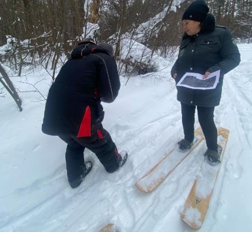 В Лаишевском районе отмечены следы лося, кабана, лисы и зайца