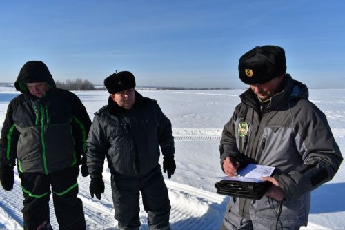 В Лаишевском районе отмечены следы лося, кабана, лисы и зайца