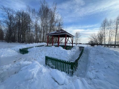 В Лаишевском лесничестве территорию очищают от снега