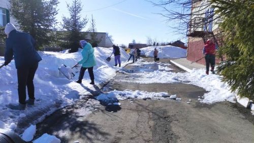 Вместе вышли на субботник