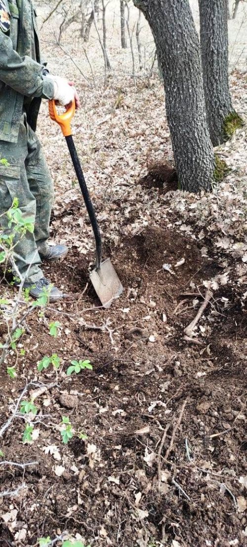В Севастополе работают поисковики