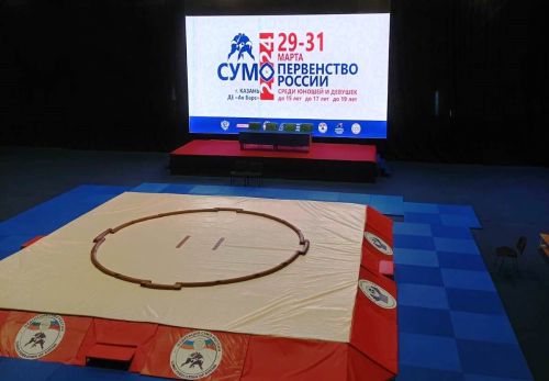 Сумоисты Лаишевского района показали хорошие результаты на первенстве России