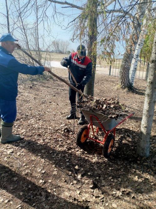 С каждым днем Лаишево пробуждается от долгой зимы и становится чище