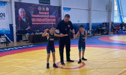 Борцы Лаишевского района выступили в Заинске